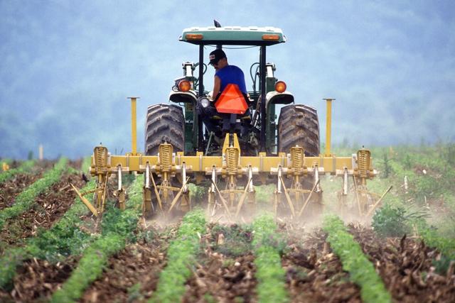 Weed Suppression on a Diverse Organic Farm: Build a Season-Long Plan