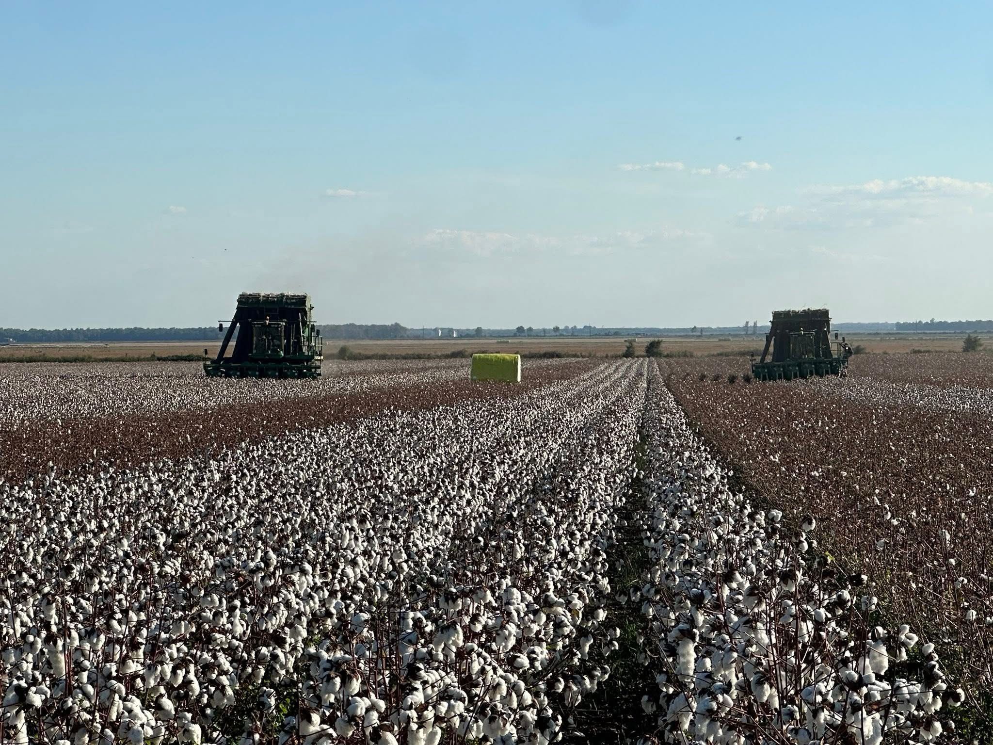 The Responsibility of the Land: Lessons from a Father to a Son