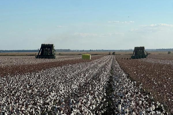 The Responsibility of the Land: Lessons from a Father to a Son