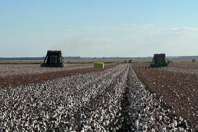 The Responsibility of the Land: Lessons from a Father to a Son