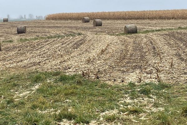 A reshaped field terrace curves across a harvested corn field with crop residue and hay bales