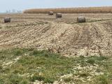 A reshaped field terrace curves across a harvested corn field with crop residue and hay bales