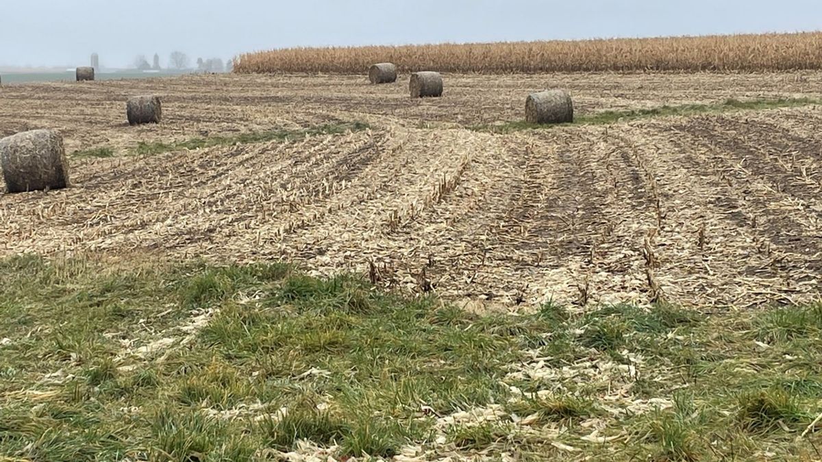 A reshaped field terrace curves across a harvested corn field with crop residue and hay bales
