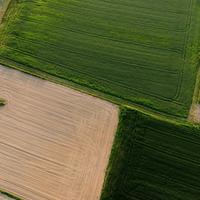 Aerial view of adjoining green and harvested farm fields.