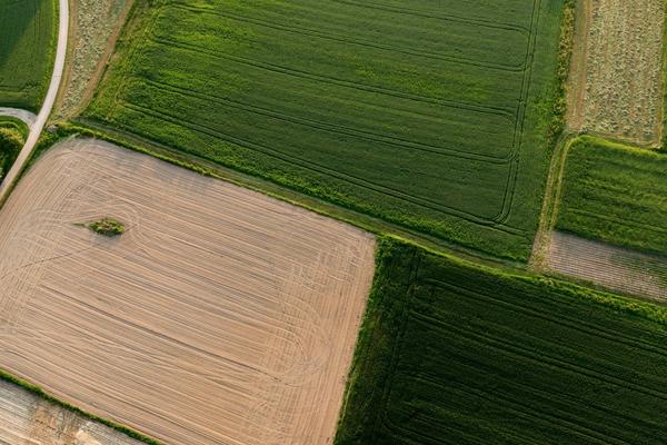 Organic, Regenerative, and Regenerative Organic: What Each Term Means