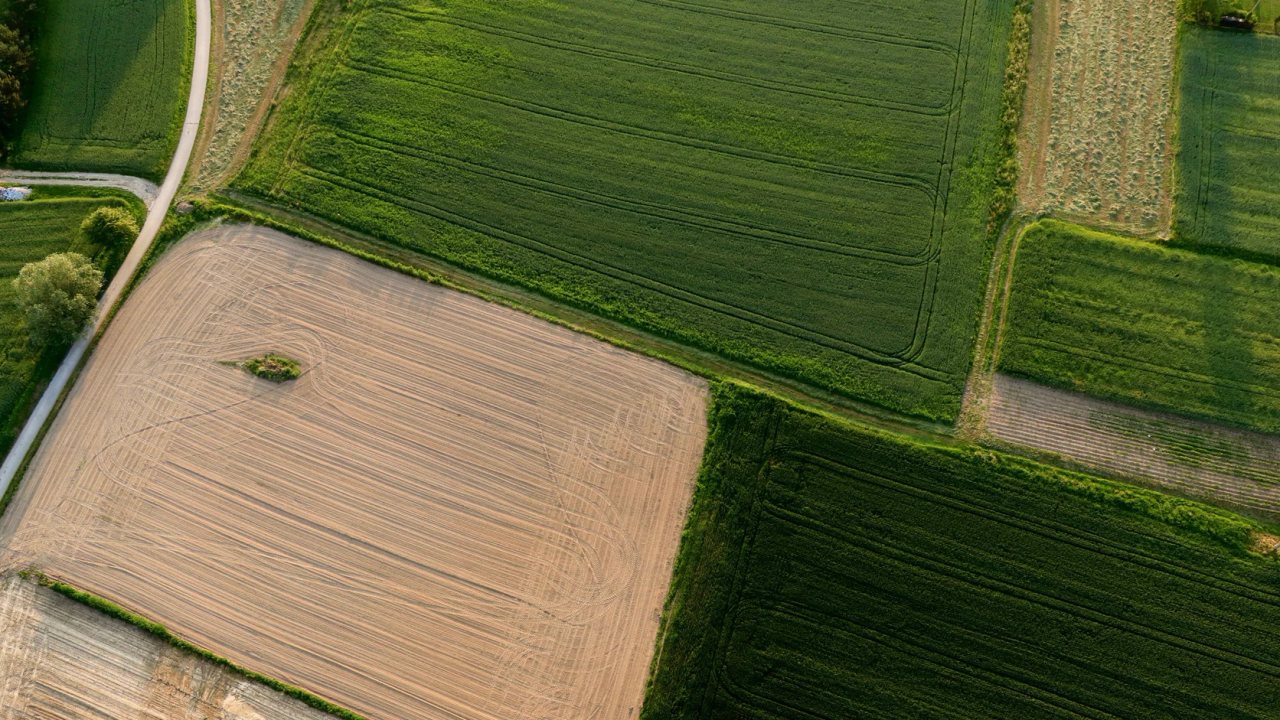 Aerial view of adjoining green and harvested farm fields.