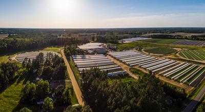Beyond Monocrops: How to Design Diversity Across the Whole Farm