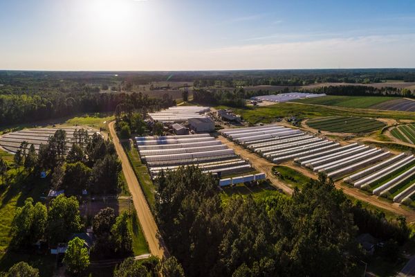 Beyond Monocrops: How to Design Diversity Across the Whole Farm