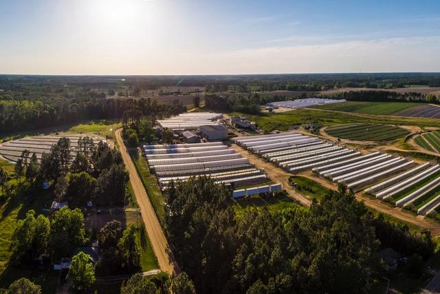 Beyond Monocrops: How to Design Diversity Across the Whole Farm