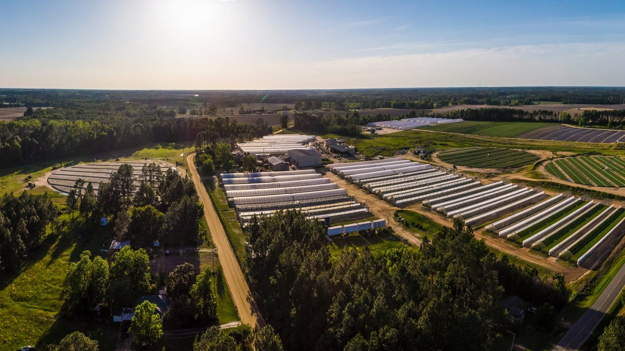 Aerial view of a diversified Georgia farm with greenhouses, vegetable plots, field crops, trees, and surrounding woodland