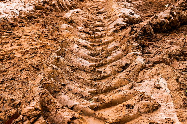 Addressing Waterlogging Issues with Soil Health Management