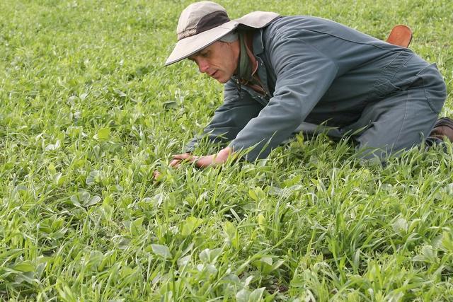 What Makes Cover Crops Work? Lessons from 657 Farmers