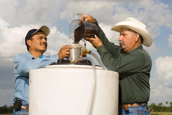 Compost Tea Explained for Farmers and Gardeners