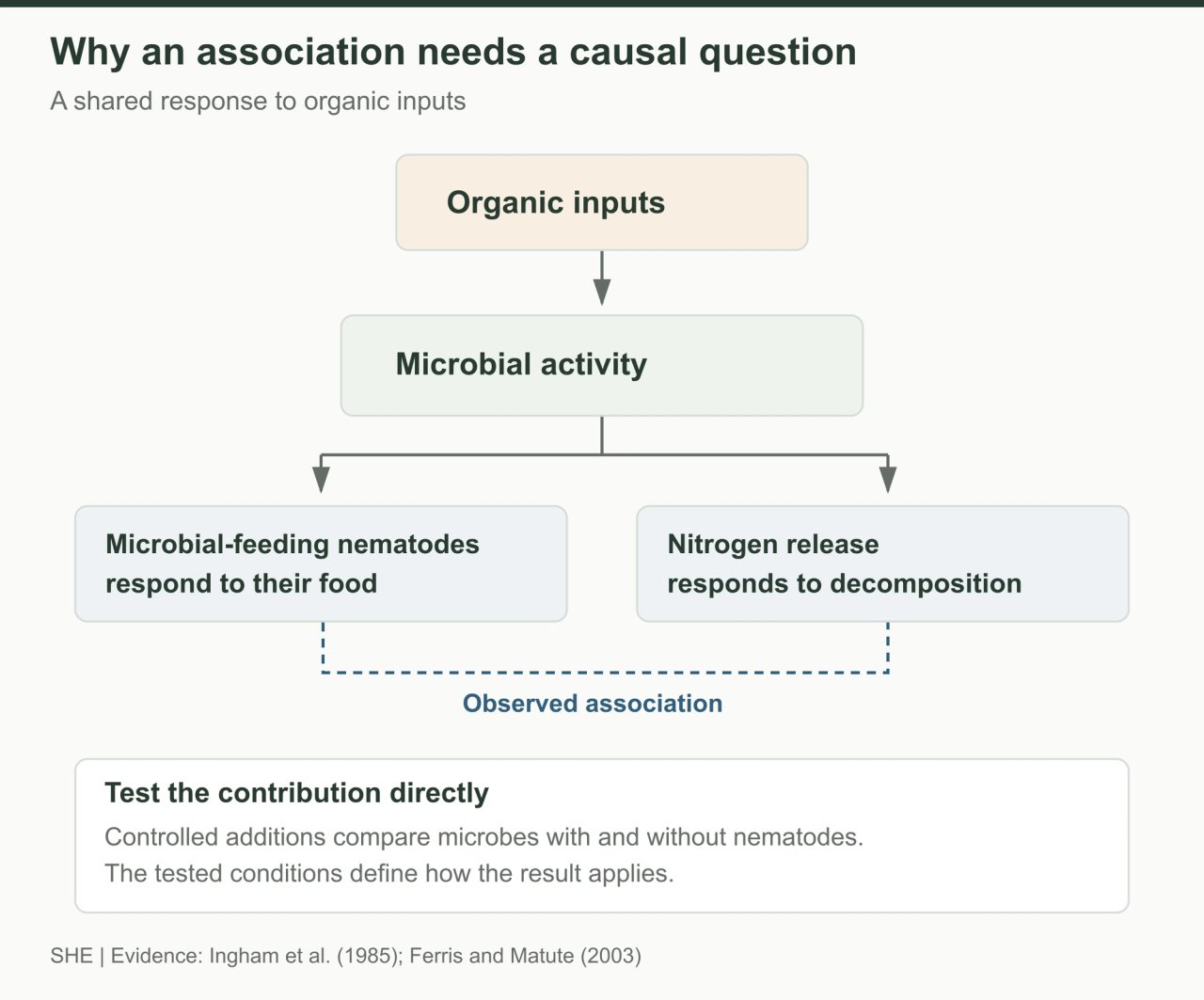 A conceptual pathway diagram in which organic inputs feed microbial activity, which branches toward microbial-feeding nematodes and nitrogen release. A separate note identifies controlled experiments that test the effect of adding nematodes.