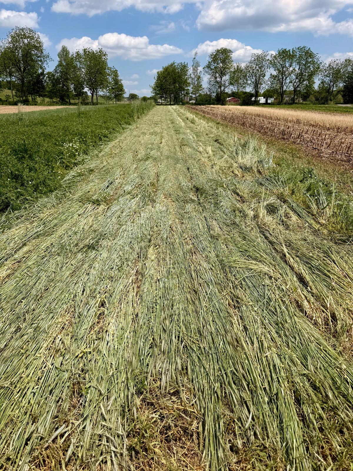 Field context