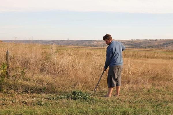 Organic Certification: Who Decides, How to Get It, and How to Keep It