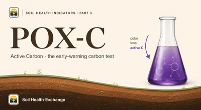 What POX-C (Active Carbon) Actually Tells You About Your Soil