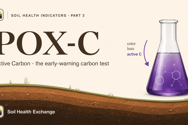 What POX-C (Active Carbon) Actually Tells You About Your Soil