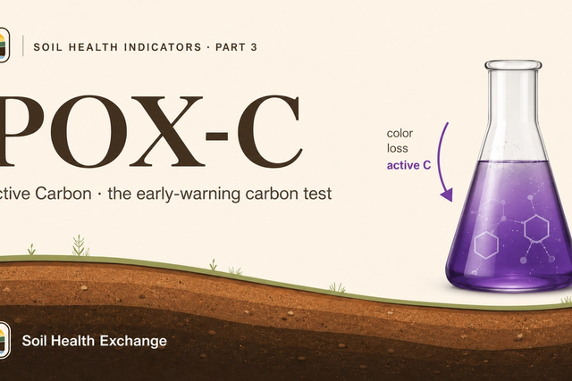 What POX-C (Active Carbon) Actually Tells You About Your Soil