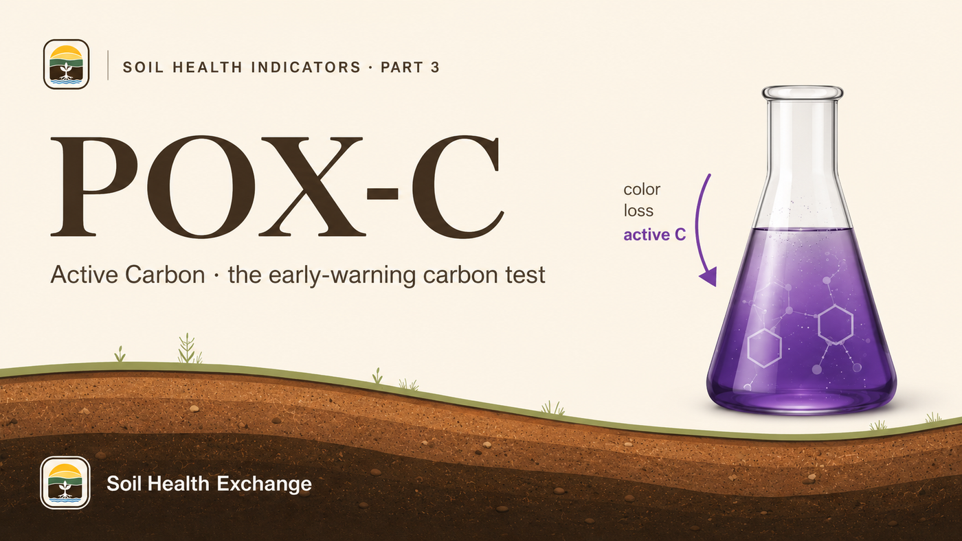 Illustration of the POX-C active-carbon test: a flask of purple permanganate solution losing color over soil sediment.