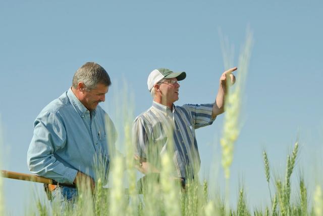 From CEMA 216 Results to Farm Decisions: SHAPE, Trends, and Advanced Testing