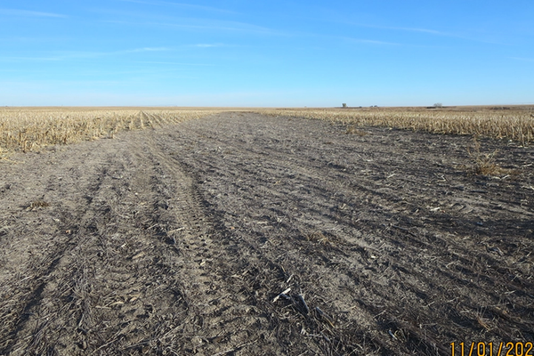 Terrace Effects on Soil Fertility and Yield