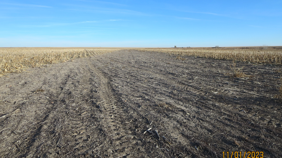 Field context