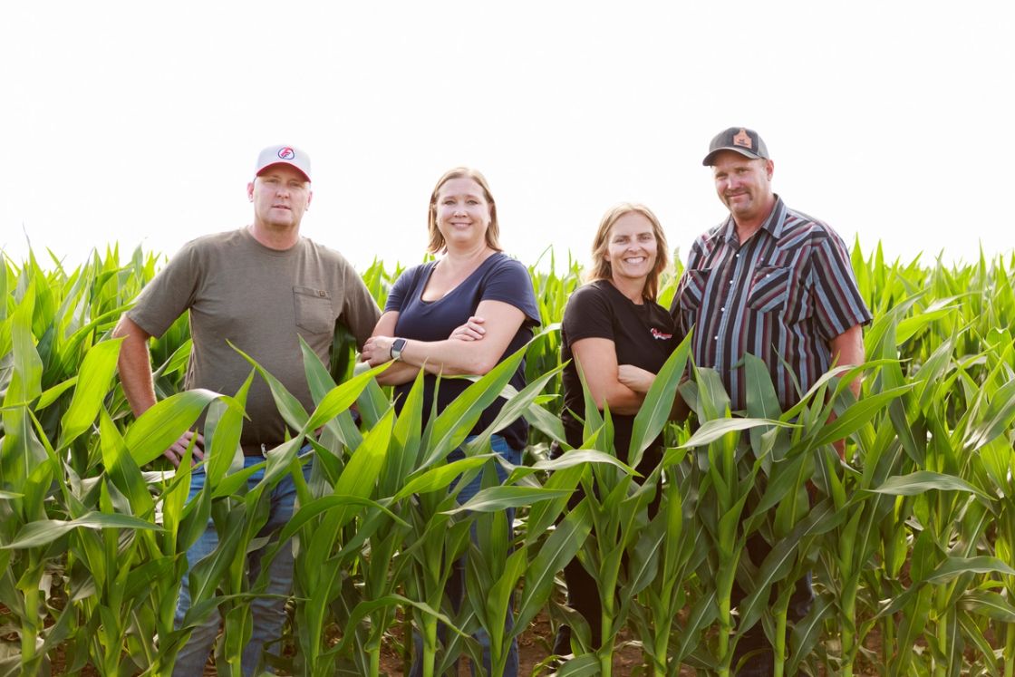 Four members of the Feikema family standing together in a green cornfield.