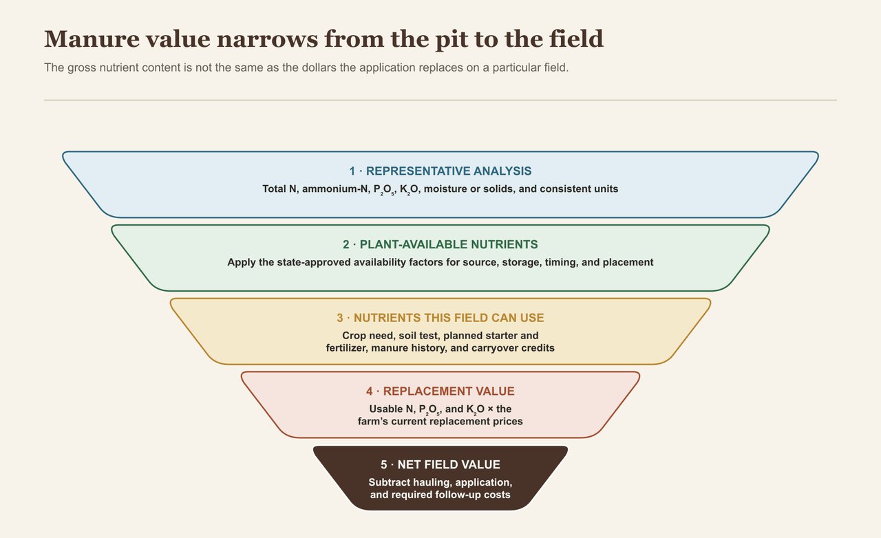 A five-stage funnel narrows from representative manure analysis to plant-available nutrients, nutrients the field can use, fertilizer replacement value, and net field value after hauling and application costs.