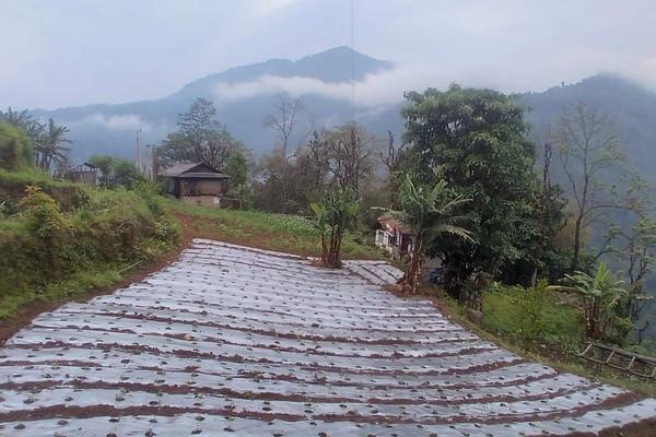 Organic Sikkim