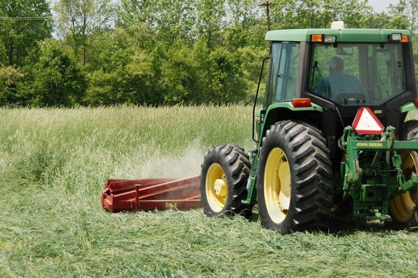 A front-mounted roller-crimper flattens a mature cover crop in a USDA-ARS field