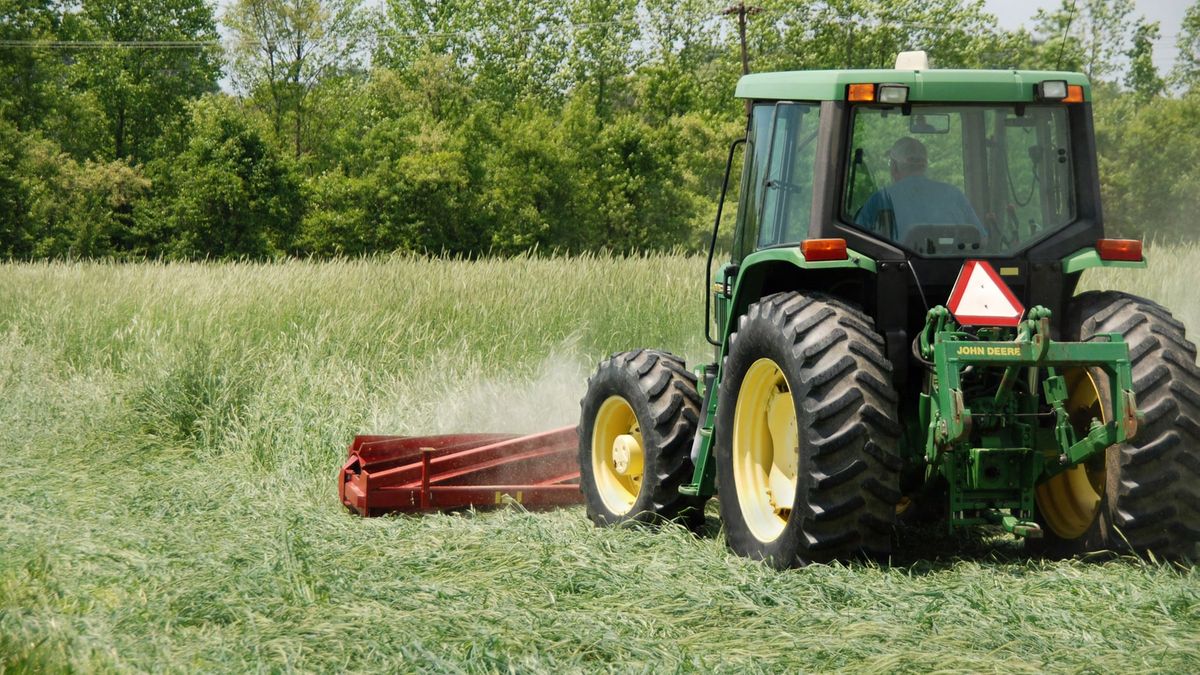 A front-mounted roller-crimper flattens a mature cover crop in a USDA-ARS field