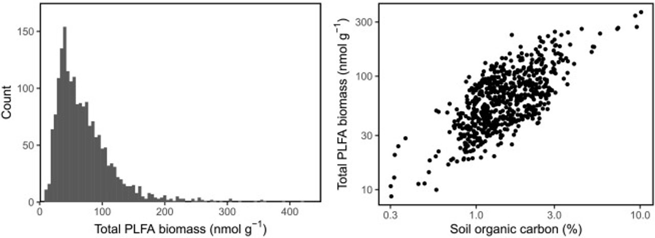 Total PLFA biomass results for the overall dataset. The histogram (a) identifies the log normal distribution of the data (n = 1893). The scatter plot points are treatment means of soil organic carbon (%) and total PLFA biomass (nmol g−1 dry soil) plotted to a log scale.