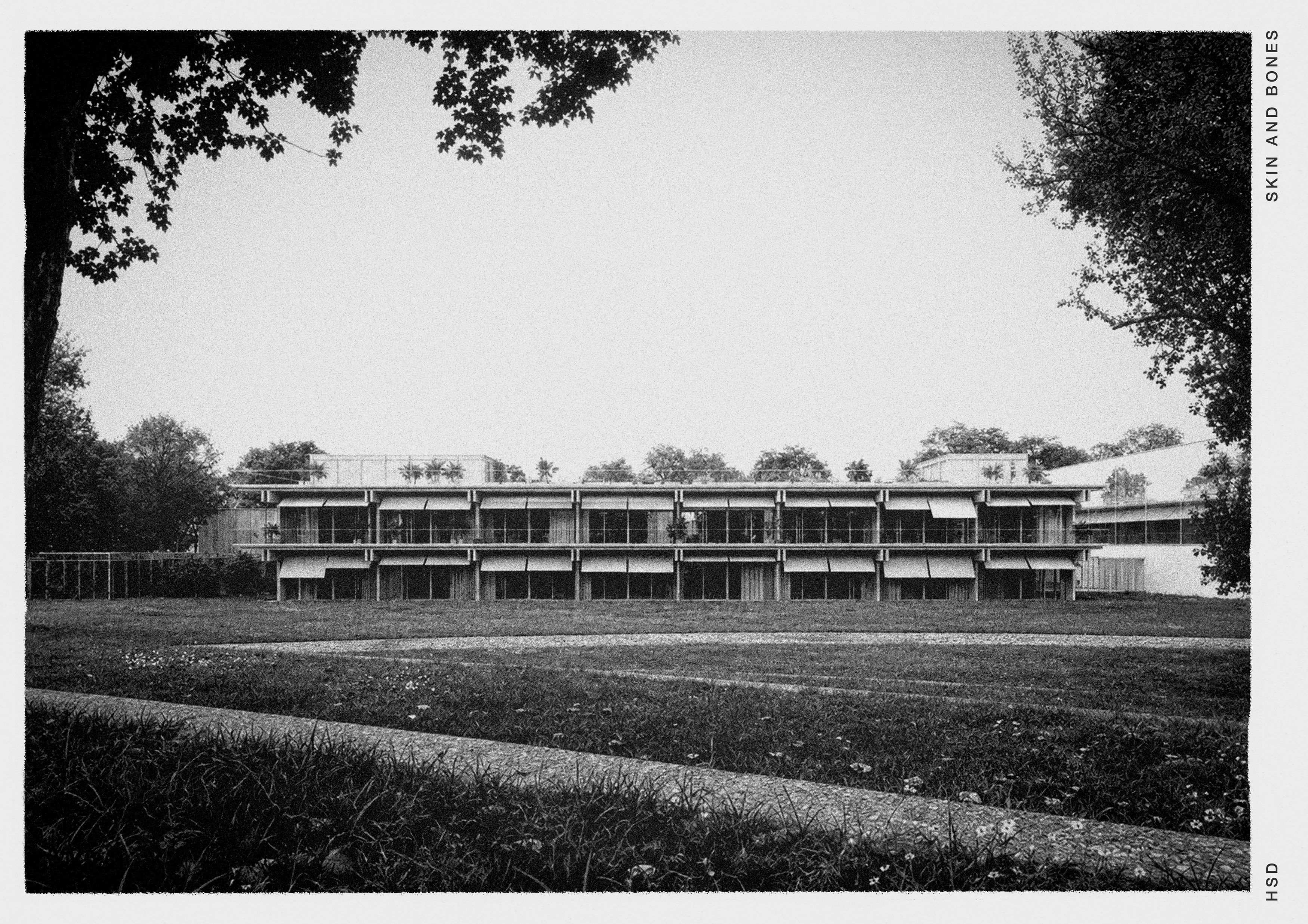 School