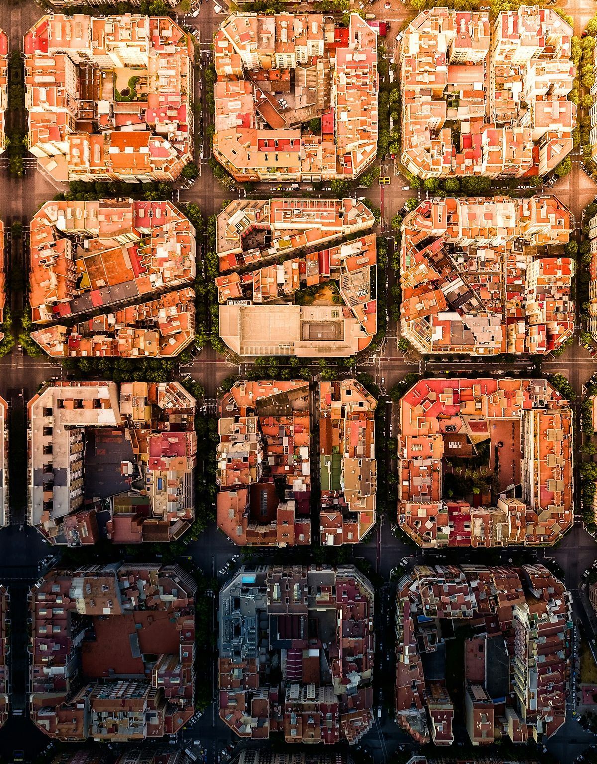 rockwell-branding-agency-erM00QZT-mI-unsplash