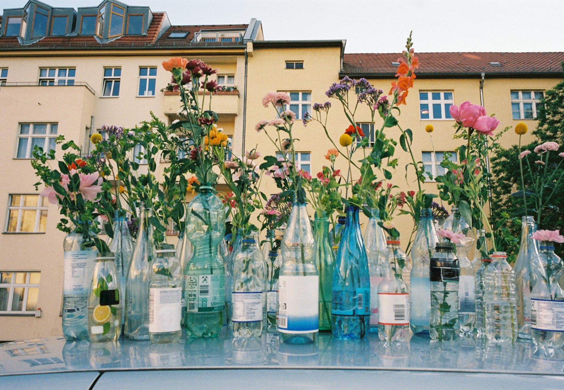 marlen-stahlhuth-7zb7qMwMfZ8-unsplash (2)