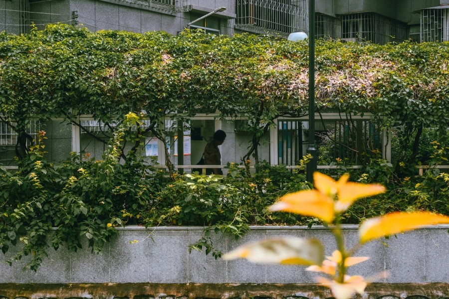 z-ww-dDi3T2Y-G0M-unsplash