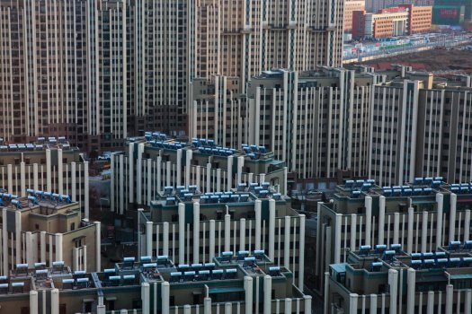 'Group Living' by Luo Jian (Tonghua, China)