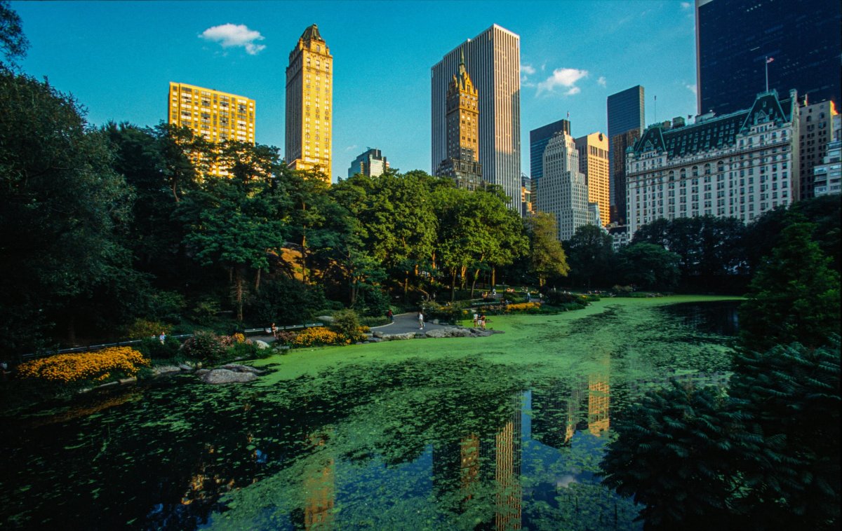 WaterWiseCities - Nick Haupt