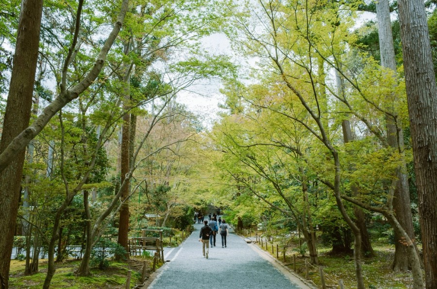 pjh-gav_CuFUexU-unsplash