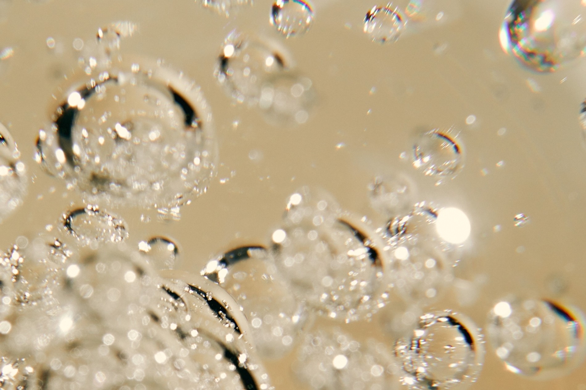 Water-Wise Cities: Recipes for a Future of Too Much (or Too Little) H₂O