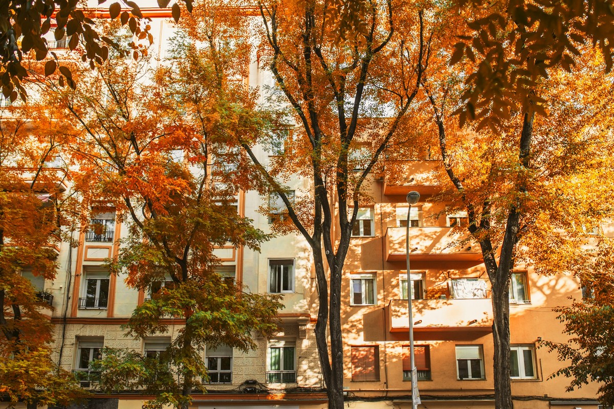 elena-helade-mj0PLZ-ln50-unsplash