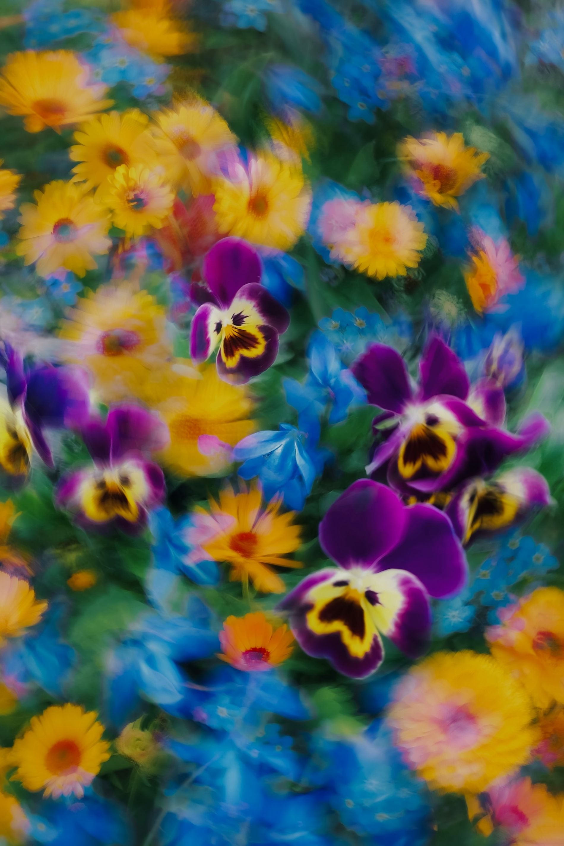 eugene-golovesov-67P_KsKnehc-unsplash (2)