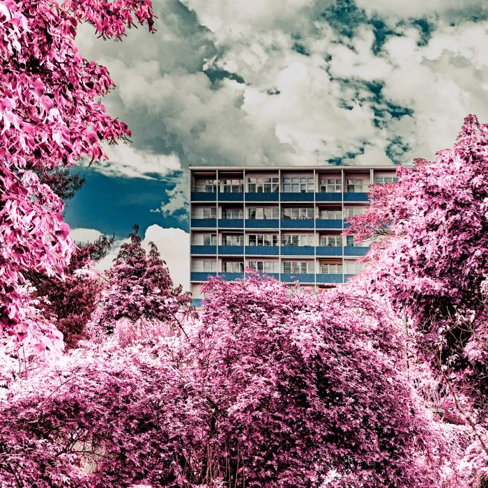 'Urban Jungle - Fritz Jaeneke & Sten Samuelson' by Christof Pluemacher (Berlin, Germany)