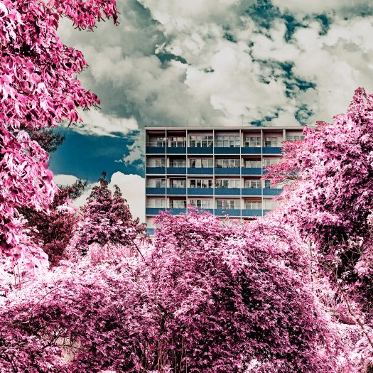 'Urban Jungle - Fritz Jaeneke & Sten Samuelson' by Christof Pluemacher (Berlin, Germany)