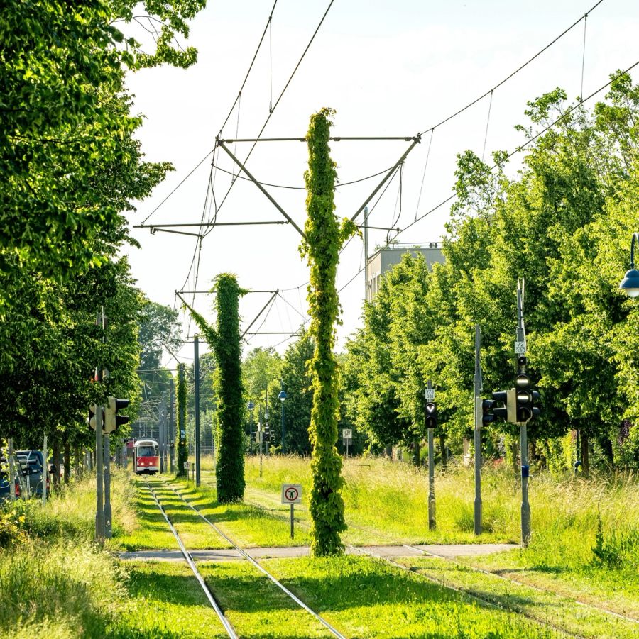 shutterstock_2323998077