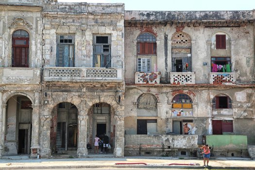 'La colmena' by Ariel Maceo Téllez (La Habana, Cuba)