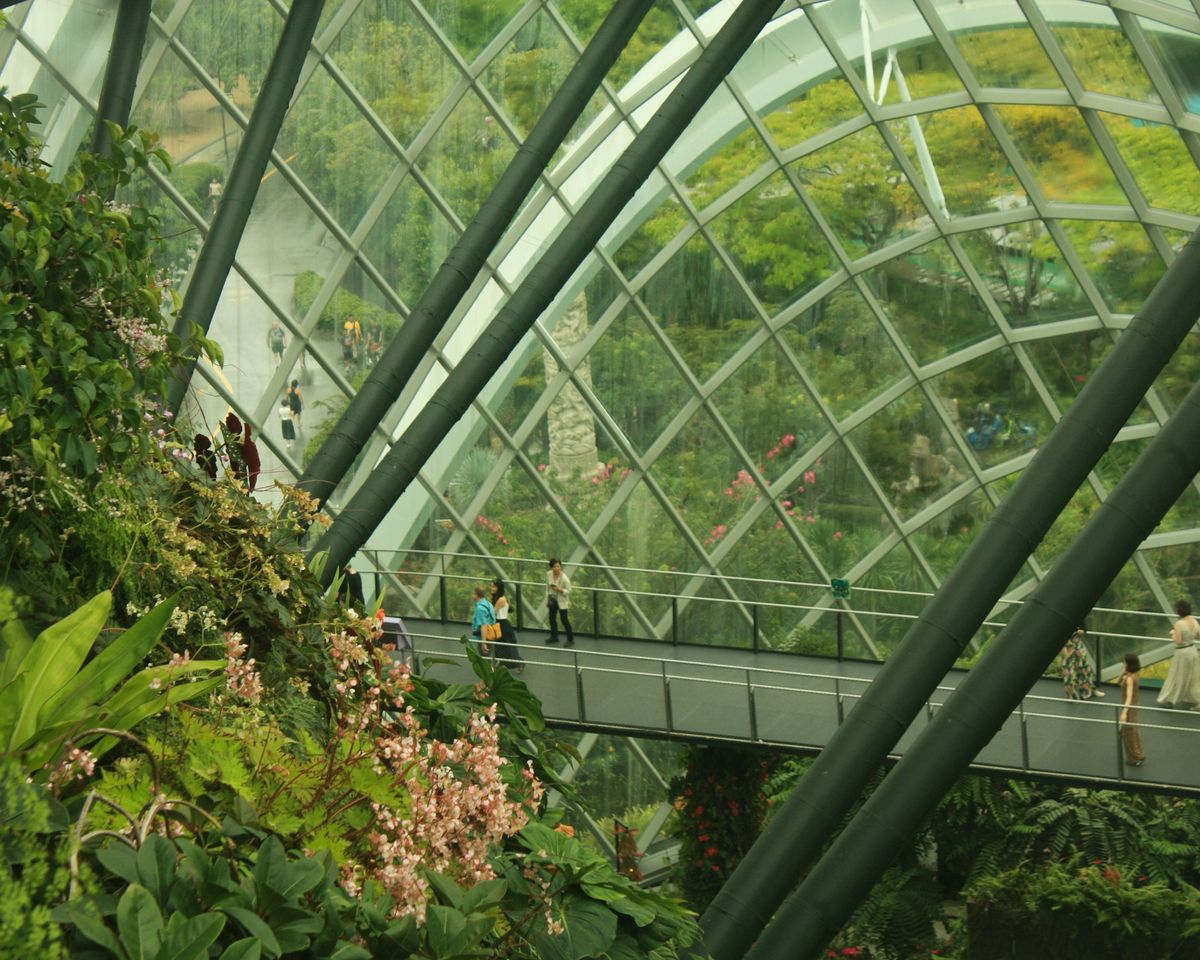 aditya-hegde-8hRru_gOeUU-unsplash