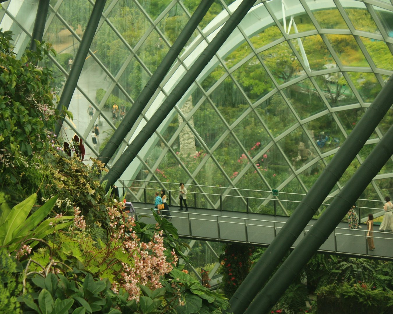 aditya-hegde-8hRru_gOeUU-unsplash