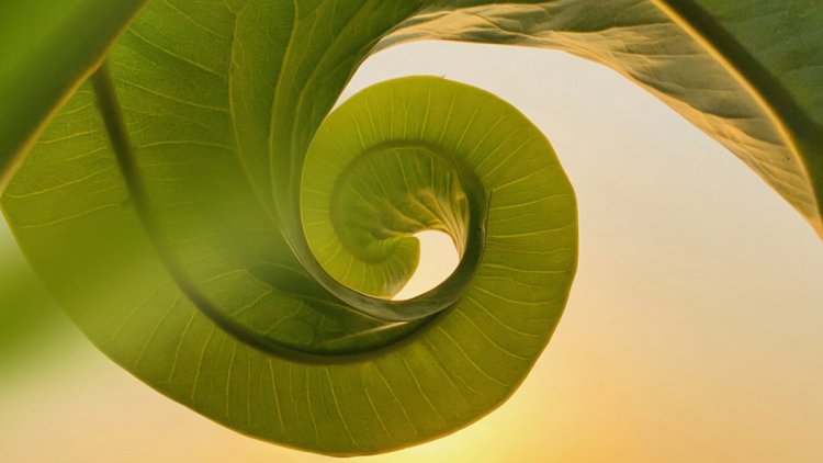 Creativity Is Boosting Urban Sustainability – And Here Are 10 Examples